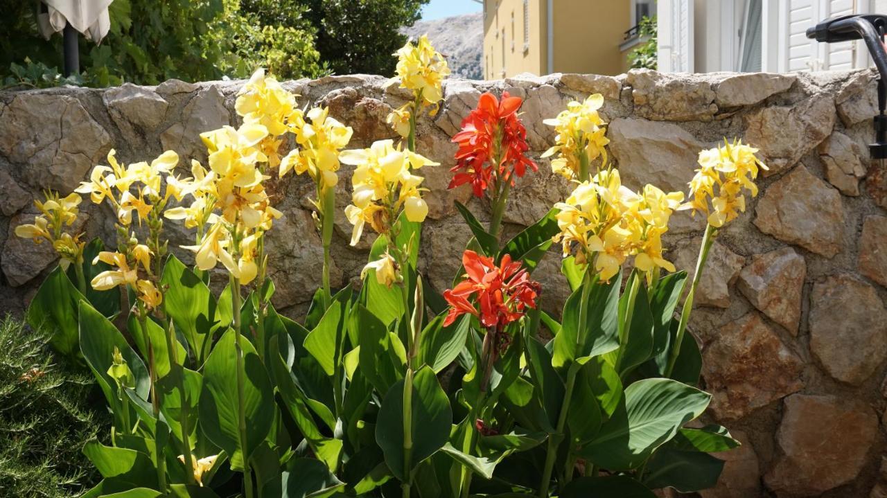 Mandy Appartement Baška